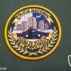 PANAMA National Police - Metropolitan Police District sleeve patch, subdued