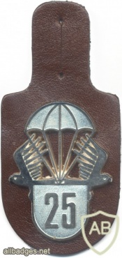 AUSTRIA Jägerbataillon 25 pocket badge img5441