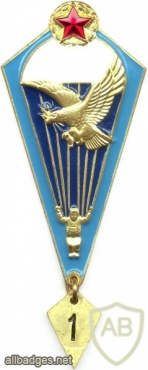 BELARUS Air Force parachutist badge, Basic img5451