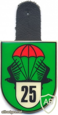 AUSTRIA Jägerbataillon 25 pocket badge #2 img5442