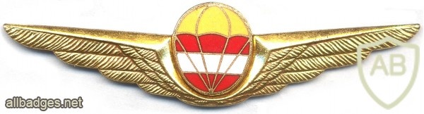 AUSTRIA Parachutist wings, 1st Class img5447