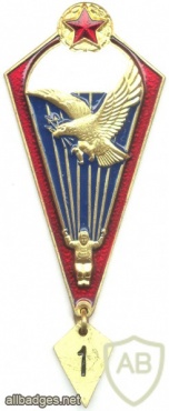 BELARUS Internal Troops parachutist badge, Basic img5459