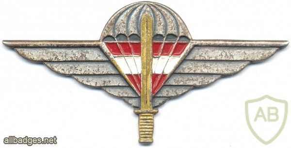 AUSTRIA Para-Commando ( Jagdkommando ) Parachutist wings img5448
