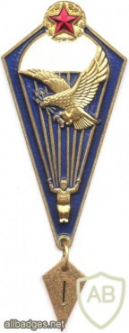 BELARUS Army parachutist badge, Basic img5454