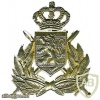 Cap Badge of the Luxembourg Army img5487