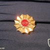Army of the Republic of Macedonia cap badge img5468