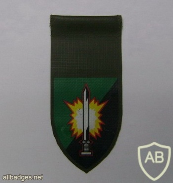 601st Assaf battalion img5489