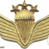 AFGHANISTAN Parachutist wings, Class 1, type II
