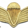 AFGHANISTAN Parachutist wings, Class 4, type II