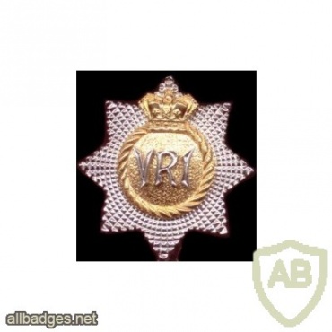 The Royal Canadian Regiment cap badge img5542