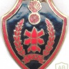 EGYPT Air Defence Anti-Aircraft Artillery Corps sleeve badge