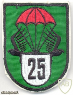 AUSTRIA Army (Bundesheer) - 25th Infantry Battalion parachutist sleeve patch, embroidered img5538