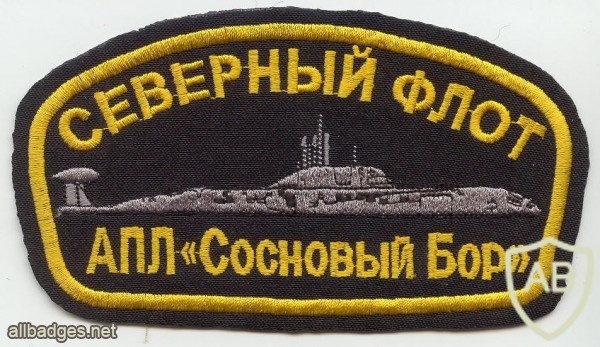 Nuclear submarine "Sosnovy Bor", North fleet img5561