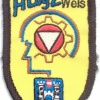 AUSTRIA Army (Bundesheer) - Army Logistics Center in Wels sleeve patch