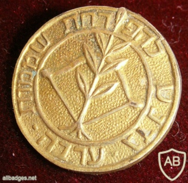 Arava Youth Brigades - Bronze img5702