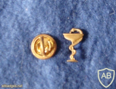 Portuguese Air Force pharmacist uniform pin badge img5825