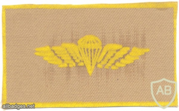 COLOMBIA Airborne Parachutist wings, Basic, printed on tan img5894