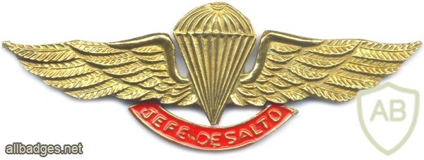 COLOMBIA Jumpmaster Parachutist wings, type- 3 img5901