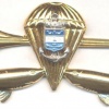 COLOMBIA Navy Amphibious Diver-Parachutist qualification badge, gold, current