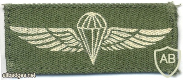 COLOMBIA Airborne Parachutist wings, Basic, printed on olive img5898