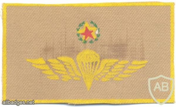 COLOMBIA Airborne Parachutist wings, Master, printed on tan img5896