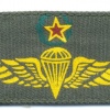 COLOMBIA Airborne Parachutist wings, Master, printed on olive green