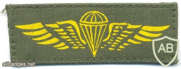 COLOMBIA Airborne Parachutist wings, Basic, printed on olive green img5966