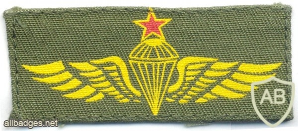 COLOMBIA Airborne Parachutist wings, Senior, printed on olive green img5968