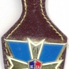 FRANCE Army 51st Command and Signal Regiment, 2nd Army Corps pocket badge