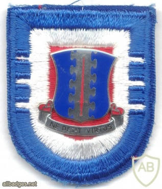 US Army 187th Parachute Infantry Regiment, 101st Airborne Division badge + flash img6160