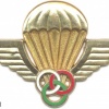 MALAGASY Parachute Instructor wings