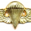 SYRIA Parachutist wings img6076