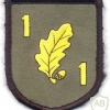 GERMANY Bundeswehr - 1st Jäger (Air Assault) Regiment, 1. / HQ company patch