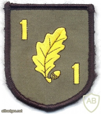 GERMANY Bundeswehr - 1st Jäger (Air Assault) Regiment, 1. / HQ company patch img6078
