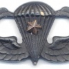 US Army Parachutist wings, 1 Combat star, subdued