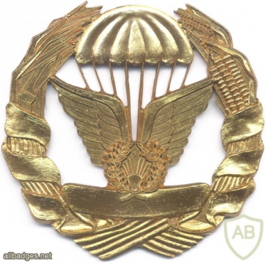 MOZAMBIQUE Parachutist badge, Gold img6077