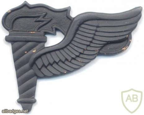 US Army Pathfinder Parachutist Badge, subdued img6159