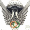 IVORY COAST Parachute Instructor wings, NCO