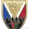 FRANCE Health Service NCO School pocket badge