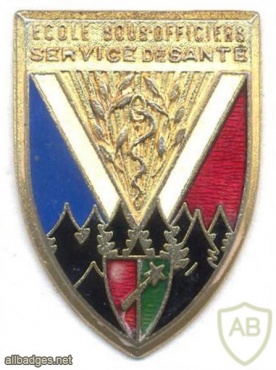 FRANCE Health Service NCO School pocket badge img6065
