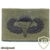 US Army Basic Parachutist wings, embroidered, black on olive green
