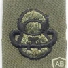 US Navy Scuba Diver Qualification Badge, embroidered, black on olive green