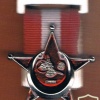 מדלית קרב גליפולי 1915-1916 תורכיה img6132