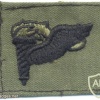 US Army Pathfinder Parachutist Badge, embroidered, black on olive green