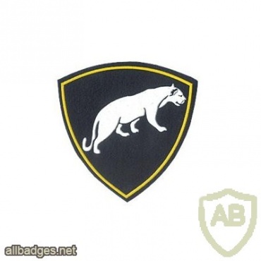 Shoulder patch of Interior Troops of Russia for the Special Rapid Deployment Division img6302