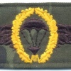 WEST GERMANY Bundeswehr - Army Parachutist wings, Master, cloth, on camo img6280
