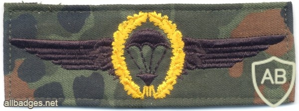 WEST GERMANY Bundeswehr - Army Parachutist wings, Master, cloth, on camo img6280