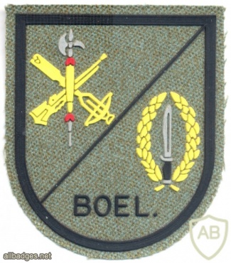 SPAIN Spanish Legion Special Operations Company (BOEL) sleeve patch img6328