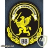 Shoulder patch for members of the High Command of Internal Troops of Russia