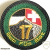 Swiss Mountain Infantry Battalion 17 img6421